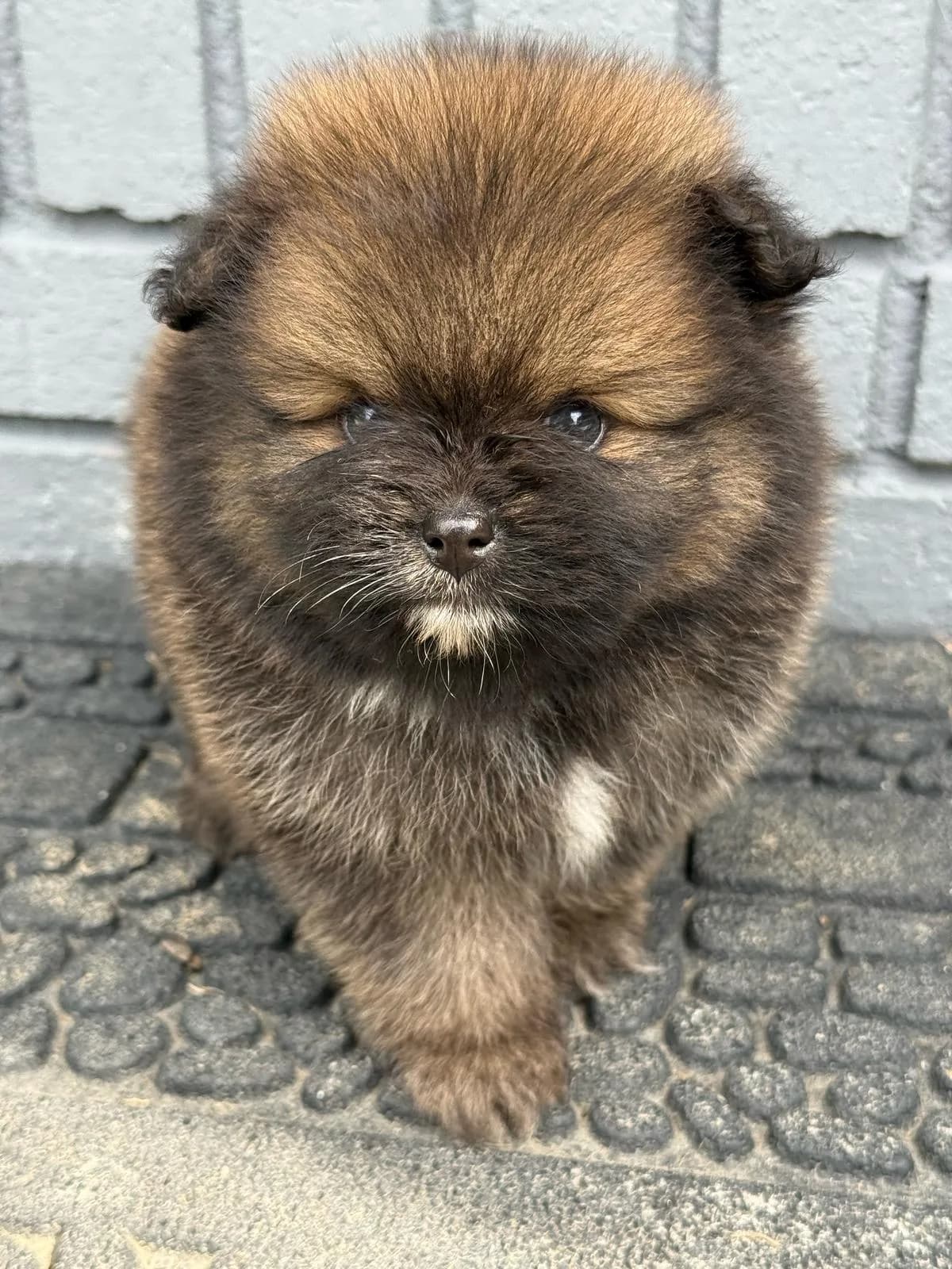 Onyx